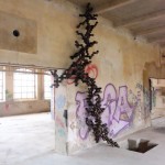 http://www.thomasnaulin.fr/files/dimgs/thumb_1x150_5_101_492.jpg